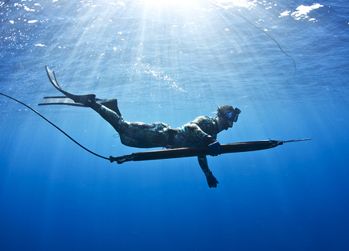 Fishing Experience